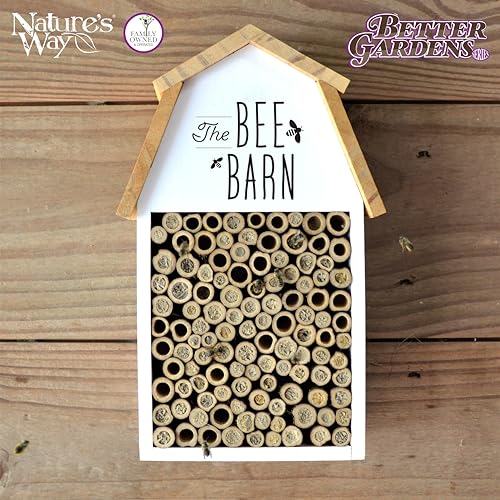 Wooden Bee House for Outdoor Décor