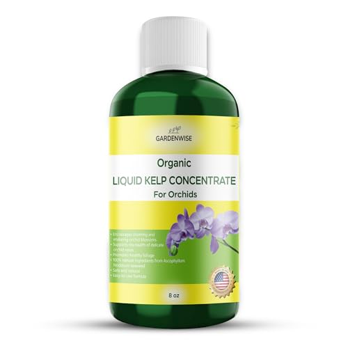 Organic Premium Kelp Seaweed Concentrate (8 Fl Oz)