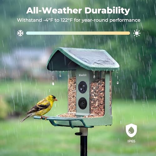 Solar Smart Bird Feeder with Camera
