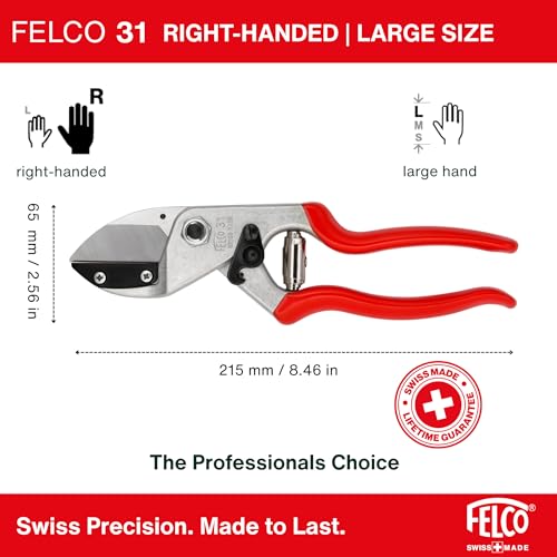 F31 Pruning Shears