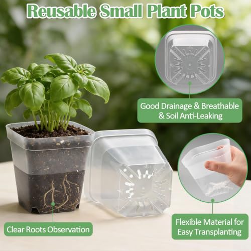 60 Pcs Clear Square Nursery Pots 4 Inch (Clear / 4Inch)