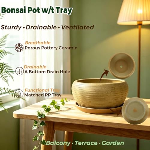 9.5” Round Large Ceramic Bonsai Bowl Planter (9.5")