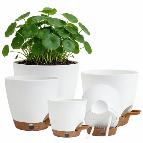 5-Pack Self-Watering Planters with Wick & Reservoir (5/5.5/6/6.5/7 Inch) – Plastic Indoor Pots with Drainage, Modern White Flower Pot for Violet, Herb (5 Count)