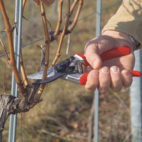 F8 Pruning Shears