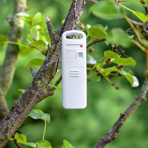 02041M Color Weather Station with Forecast