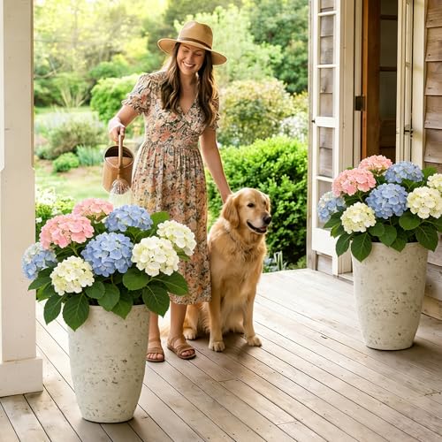 19.5" Tall Resin Planters Set of 2 (2 Count)