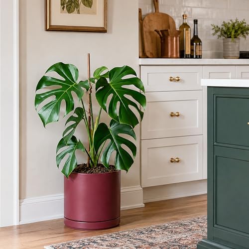 10 Inch Ceramic Planter Pot (Large / Cordovan)