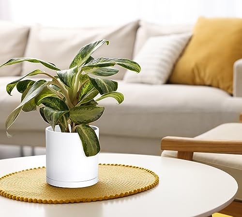 2 Pack White Plastic Planters with Saucers (6")