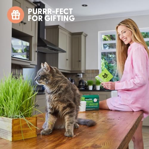 Cat Grass Kit with Rustic Wood Planter (Natural)