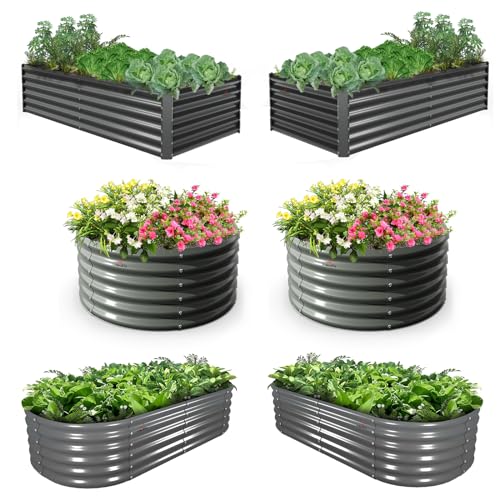 Anleolife 6 Bed Round (6 Count)