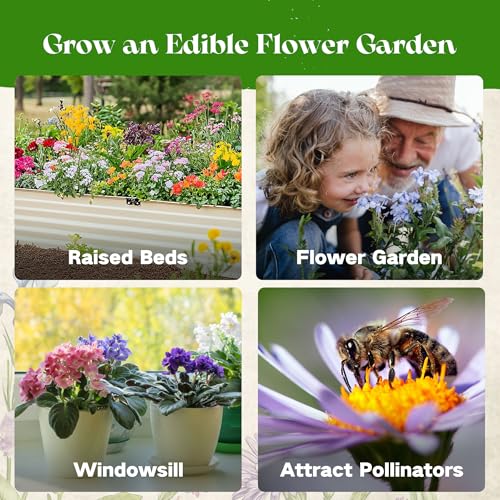 Lush&Dew Edible Flower Seed Bank with Almanac (32 Count)