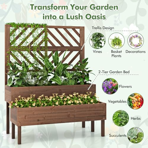 Raised Garden Bed with Trellis & 2 Planter Boxes