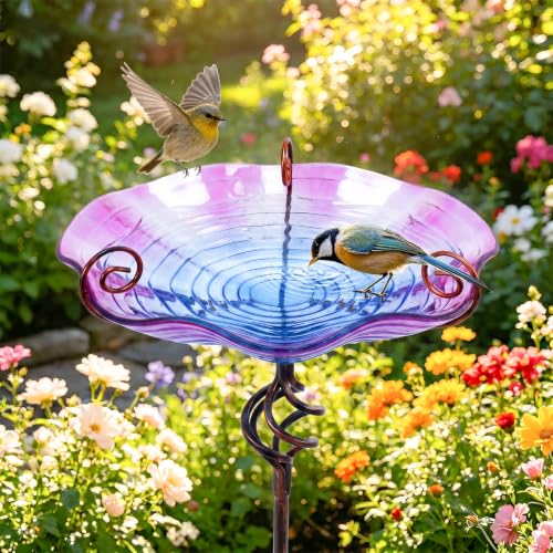 Glass BirdBaths