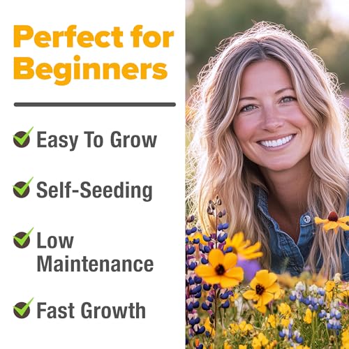 Texas Wildflower Seeds Bulk Mix