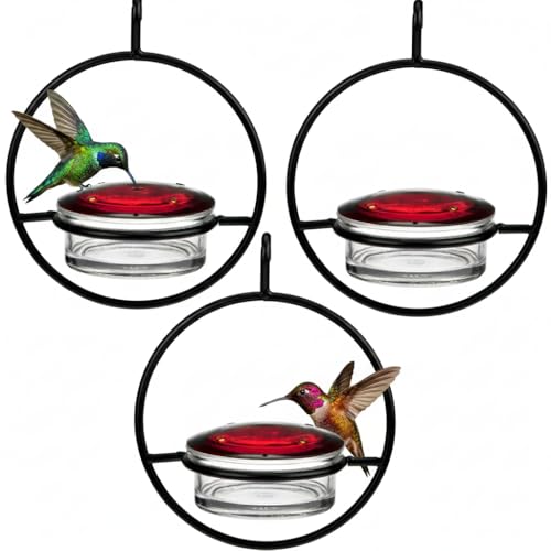 3 Pack Recycled Glass Slim Hummingbird Feeder