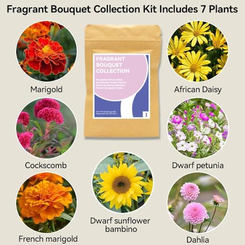 Fragrant Bouquet Seed Pod Kit for AeroGarden (12 Pod)
