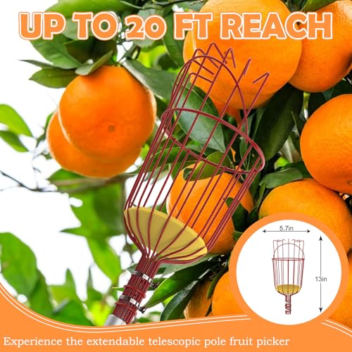 SISIUPASSIE 20FT Reach Fruit Picker