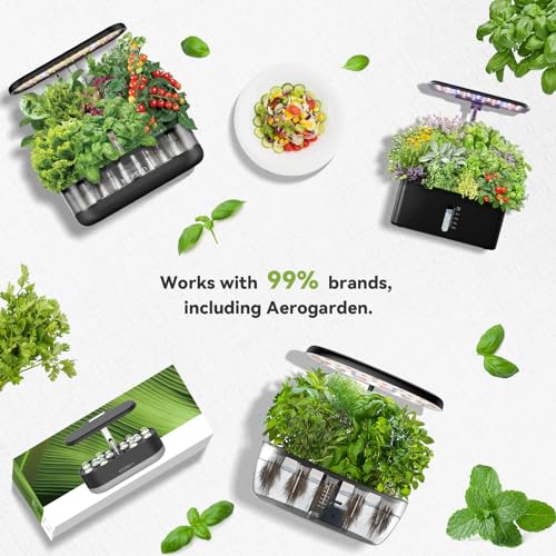 12 Pod Flower Seed Pod Kit for AeroGarden (12 Pods)