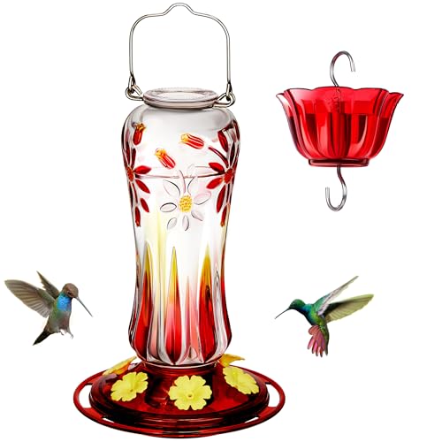 Glass Hummingbird Feeders for Outdoors Hanging