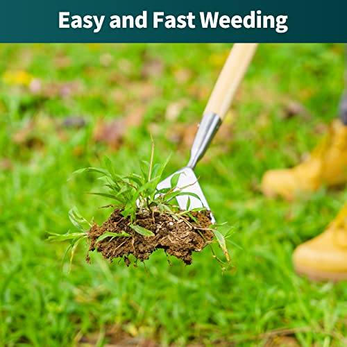 Dutch Hoe for Weeding