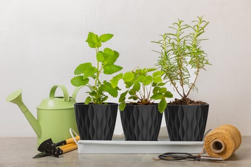 6 Inch Plant Pots (Black / 6inch)