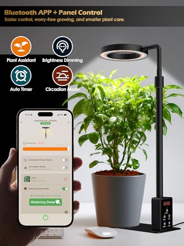 Smart Grow Lights for Indoor Plants