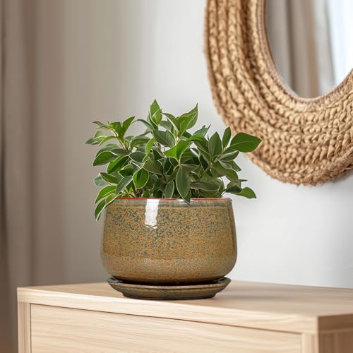 Ceramic Planters (9 Inch / Speckled Brown)