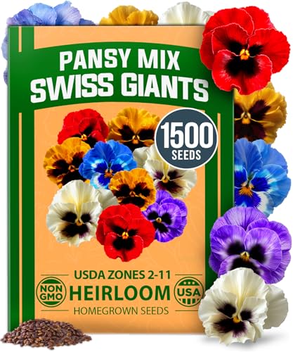 Pansy Swiss Giants Mix Seeds