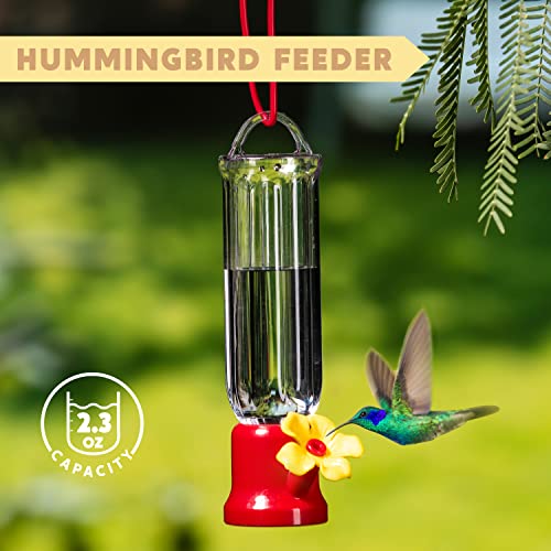 Set of 6 Mini Hummingbird Feeders with Hanging Wires