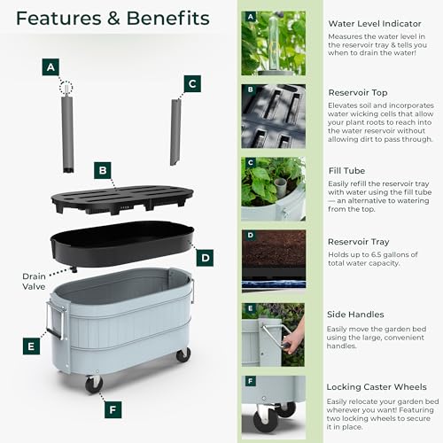 Self Watering Garden Bed