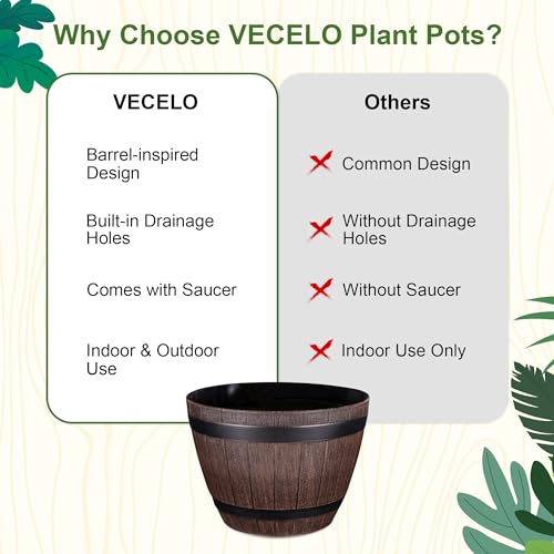 Plant Pots with Drainage Holes & Saucer