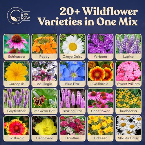 Bulk Wildflower Seed Shaker