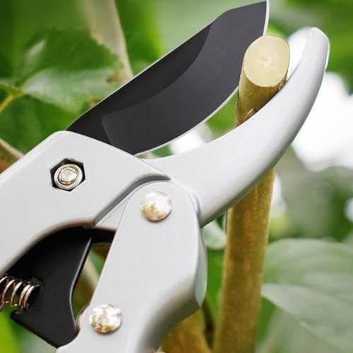 garden shears (Black/Silver)