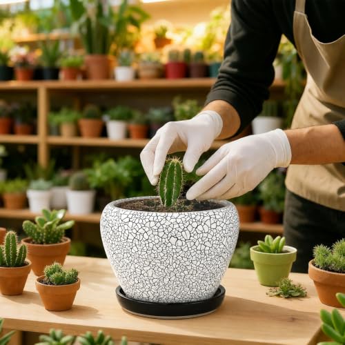 6 Inch Plant Pots (Wood Crack Black / 6 Inch)