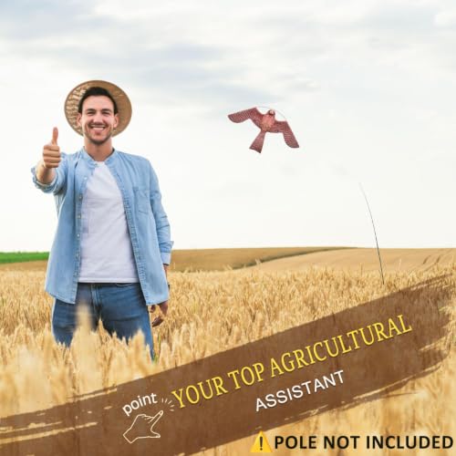 Bird Scarer Kite Without Pole Bird Hawk Flying Kite