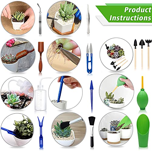 Succulent Tools