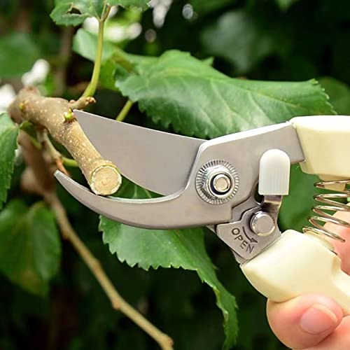 Pruners pruning shears heavy duty (Ivory White)