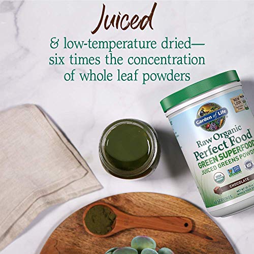Raw Organic Perfect Food Chocolate Powder (20.1 Ounce)