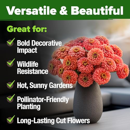 Coral Zinnia Seeds (2 Count)