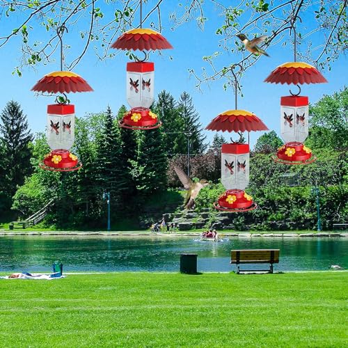 8" Hummingbird Feeder Rain Guard Dome Cover (2 Count)