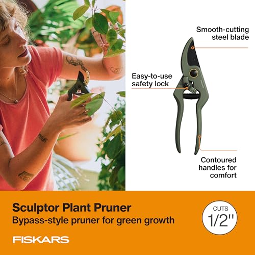 Indoor Plant Care 3