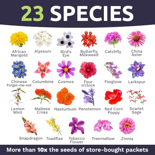 Bulk Wildflower Seeds Butterfly and Humming Bird Mix (80 Ounce)