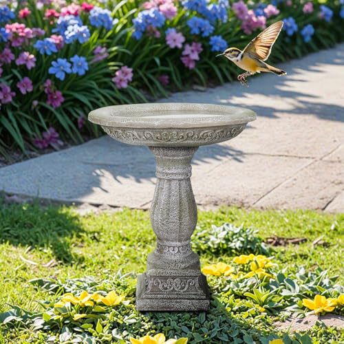 23.8” H x 20” Dia Outdoor Birdbath with Exquisite Carvings Pedestal