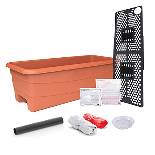 Novelty 80655 EarthBox Junior Organic Garden Kit