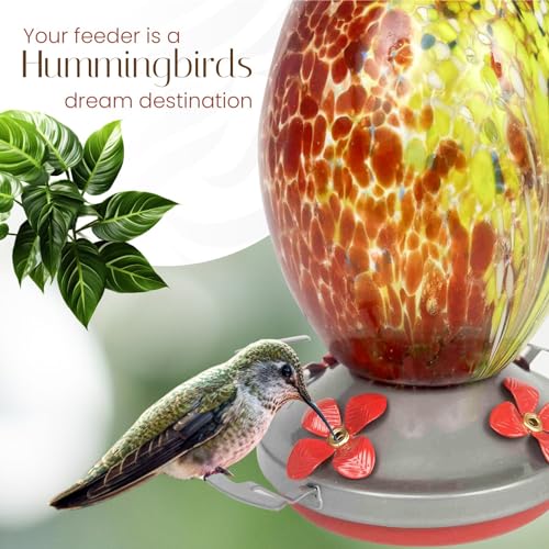 Glass Hummingbird Feeder for Outdoors