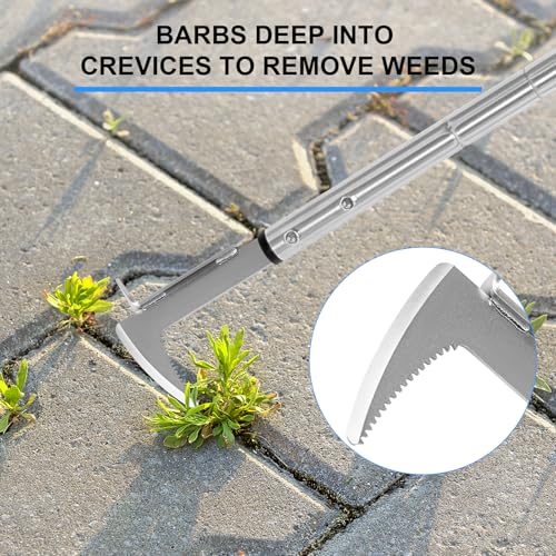 Crack Weeder Stainless Steel Manual Crevice Weeding Tool