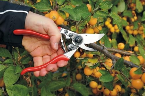 F9 Pruning Shears