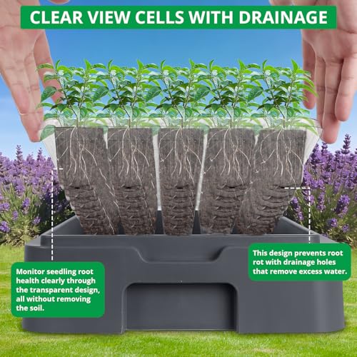 Seed Starter Tray with Grow Light