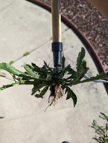 PullPro Long Handle Weed Puller Tool