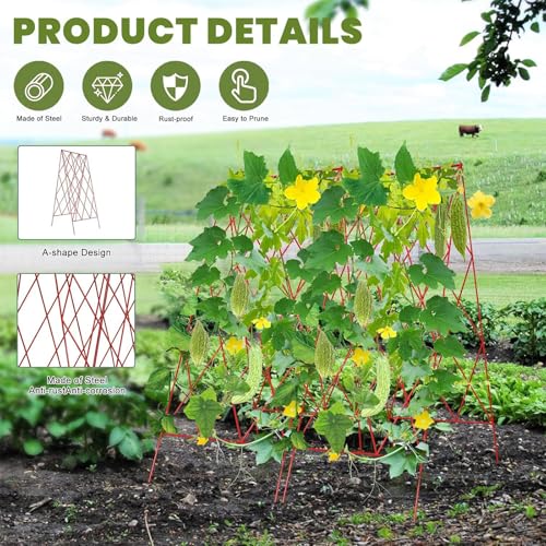 Cucumber Trellis 2 Pack (Garnet Red / 39.4" H)